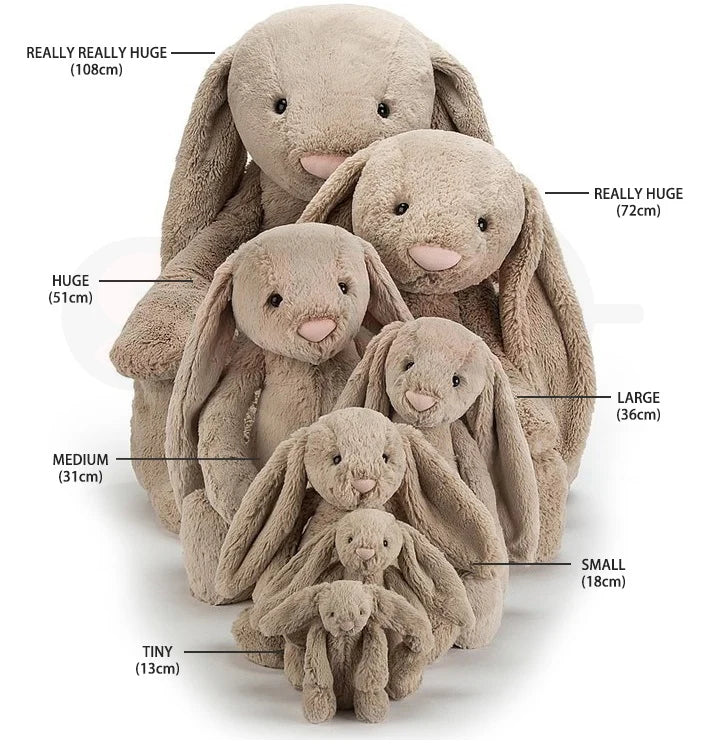 Bashful Bunny Jellycat