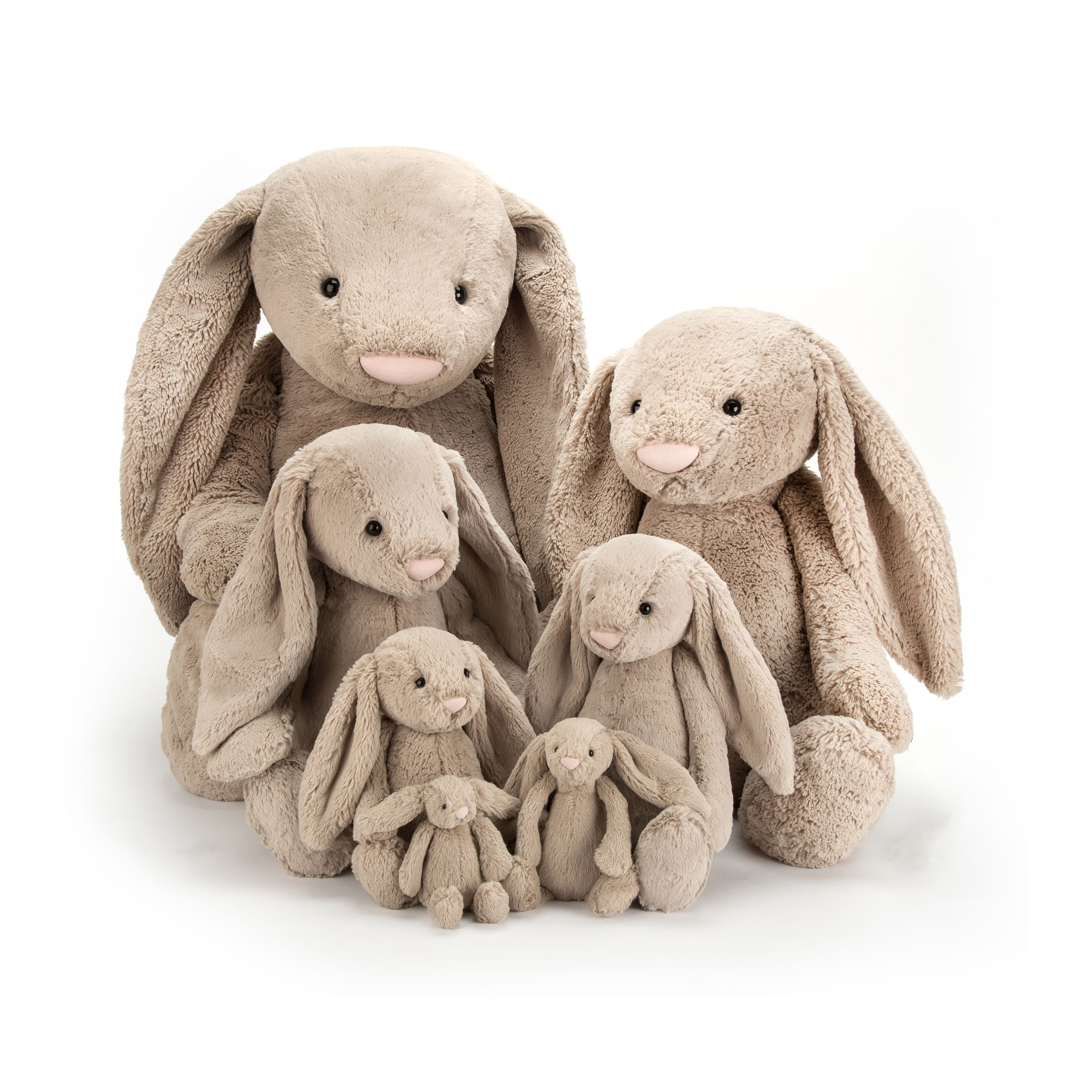 Bashful et Blossom Bunny Jellycat