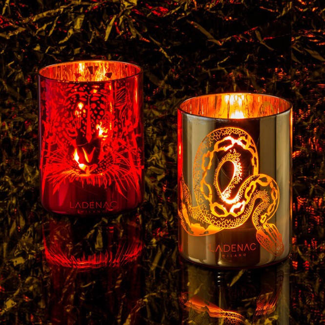 Bougie parfumée Africa Predator 350g